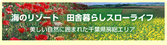 海のリゾート 田舎暮らしスローライフ 美しい自然に囲まれた千葉県房総エリア